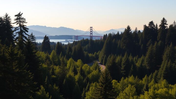 Stanley Park