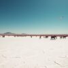 Etosha-Nationalpark