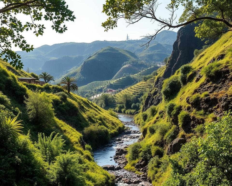 Levada Systeme Madeira Bewässerung