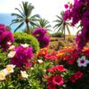 blumen auf madeira