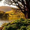 killarney national park