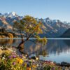lake wanaka