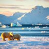 A serene Arctic landscape featuring a pair of majestic polar bears in Spitzbergen. In the foreground, the bears are playfully interacting on a patch of bright white snow, their thick fur glistening under the soft afternoon sun. The middle ground showcases a tranquil icy coastline, where jagged icebergs float in the clear blue sea, reflecting the stunning colors of the early evening sky. In the background, towering snow-covered mountains rise dramatically against the horizon, creating a breathtaking backdrop. The lighting is golden and warm, adding a sense of peace and tranquility to the scene. The mood conveys a sense of awe and wonder at the beauty of Arctic wildlife, inviting the viewer to appreciate the untamed nature of Spitzbergen.