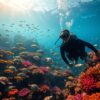 tauchen auf bali